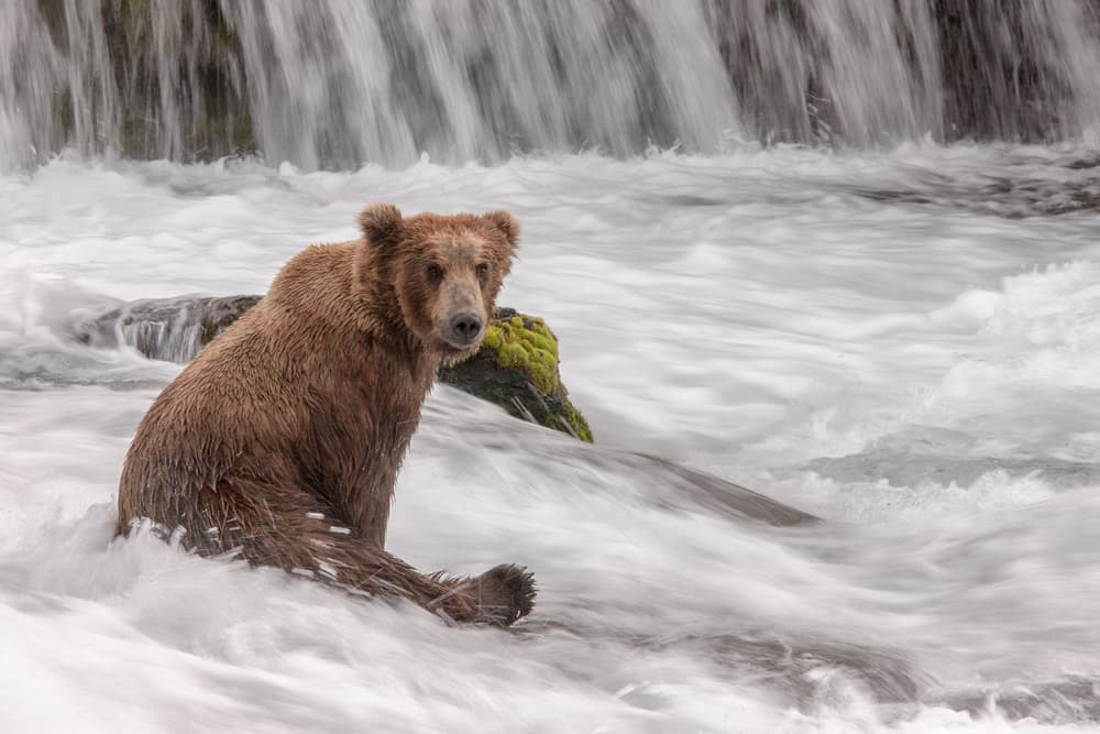 Time to Sit, Relax and Enjoy a Cold One... :) by Nick Kalathas — canvas wall art