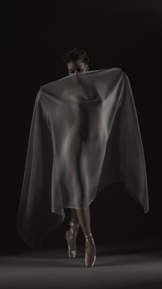 Sheer Grace Ballerina by Marcos Gali — canvas wall art