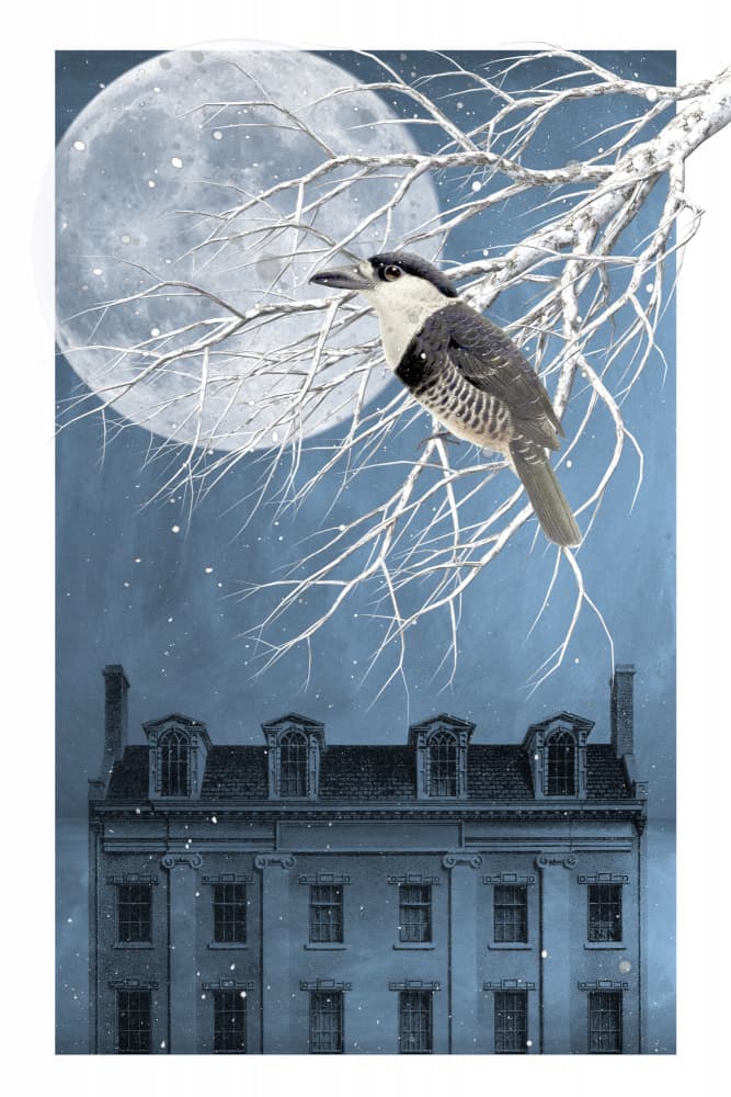 Bird Under Winter Moon by Marja van den Hurk — canvas wall art