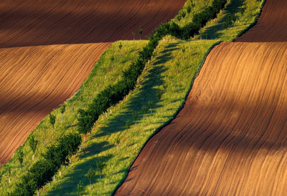 Winding Field Patterns by Slawomir Kowalczyk AFRP FIAP IAAP — canvas wall art