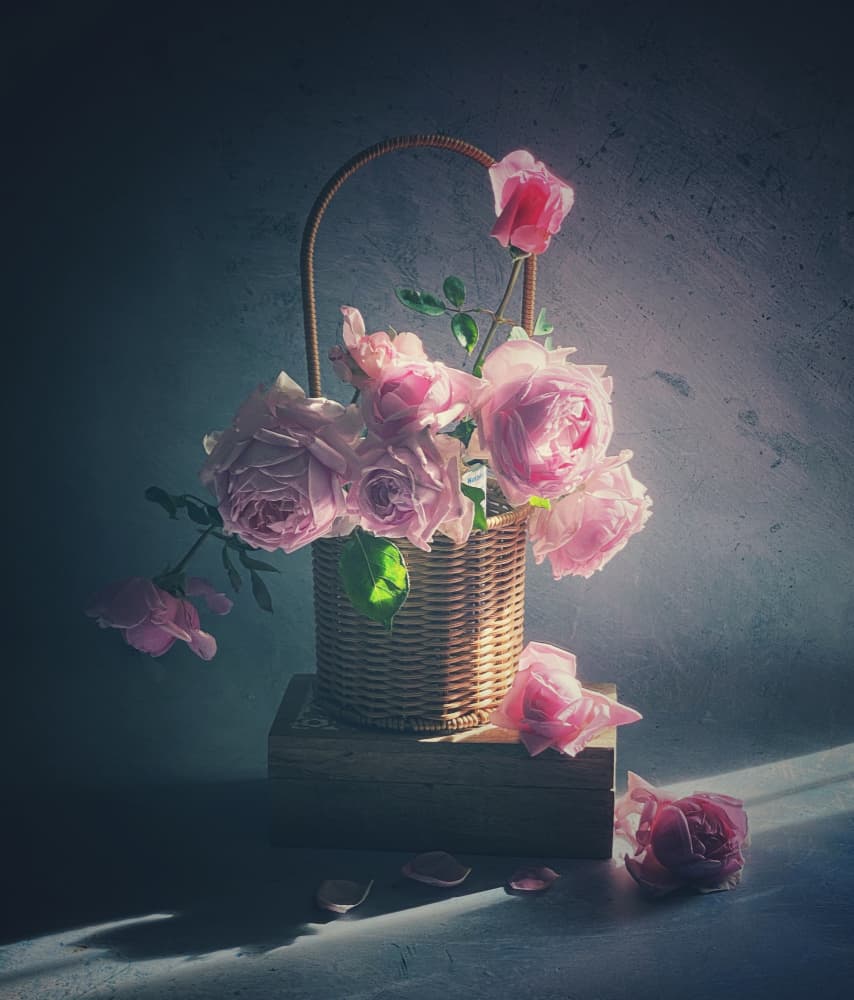 Basket of Pink Roses by Judy Tseng — canvas wall art