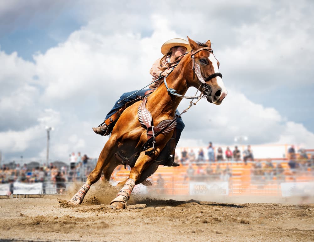 Barrel Racing Action by Leeian Dai — canvas wall art