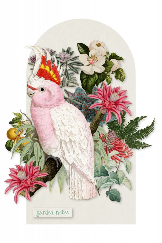 Pink Cockatoo Botanical Garden by Marja van den Hurk — canvas wall art