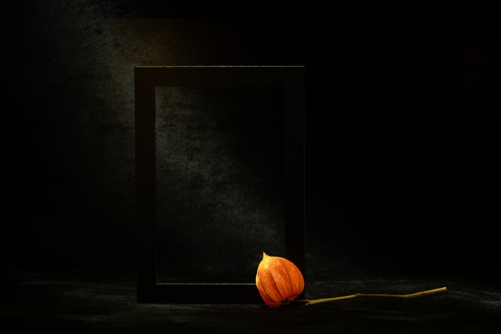 Orange Physalis Dark Frame by Igor Kopcev — canvas wall art