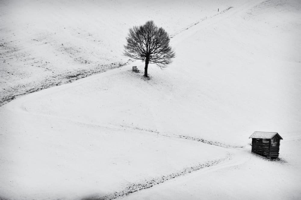 Minimalist Winter Landscape by Marchevca Bogdan — canvas wall art