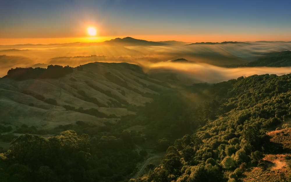 Golden Valley Sunrise by Jenny Qiu — canvas wall art