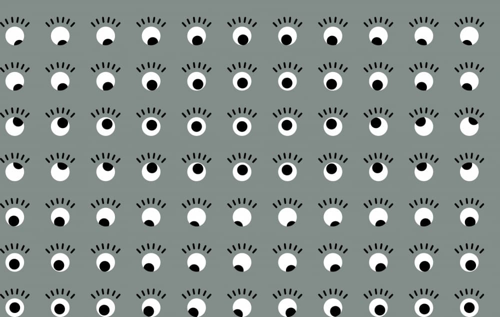 Curious Eyes Gaze by Annick — canvas wall art
