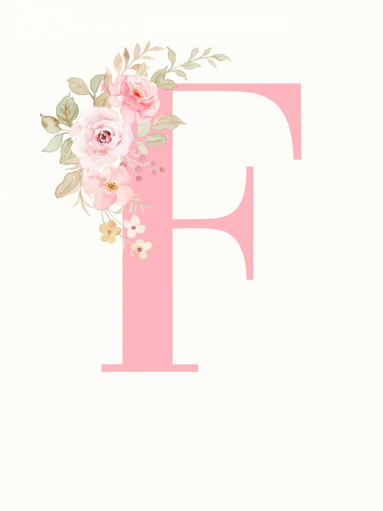 Blush Floral F by Mathieu jeuf — canvas wall art