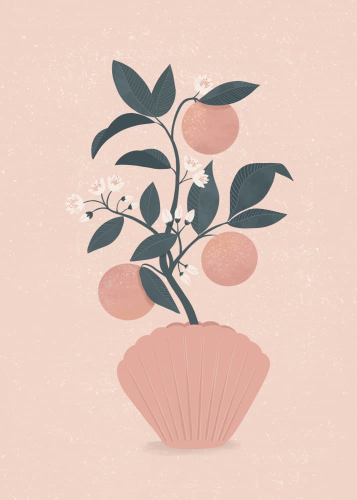 Blush Citrus Plant by Katarzyna Gąsiorowska — canvas wall art