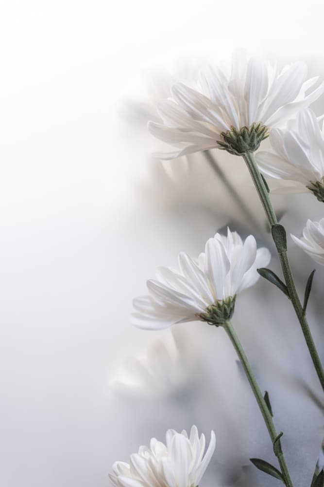 Blurred Flowers 8 by Mareike Böhmer — canvas wall art