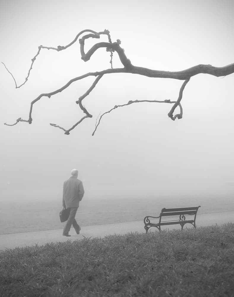Man Walking Foggy Park by Anna Niemiec — canvas wall art