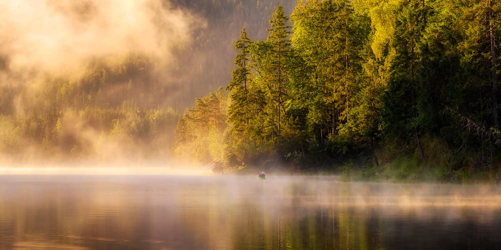 Golden Morning Mist by Daniel Gastager — canvas wall art