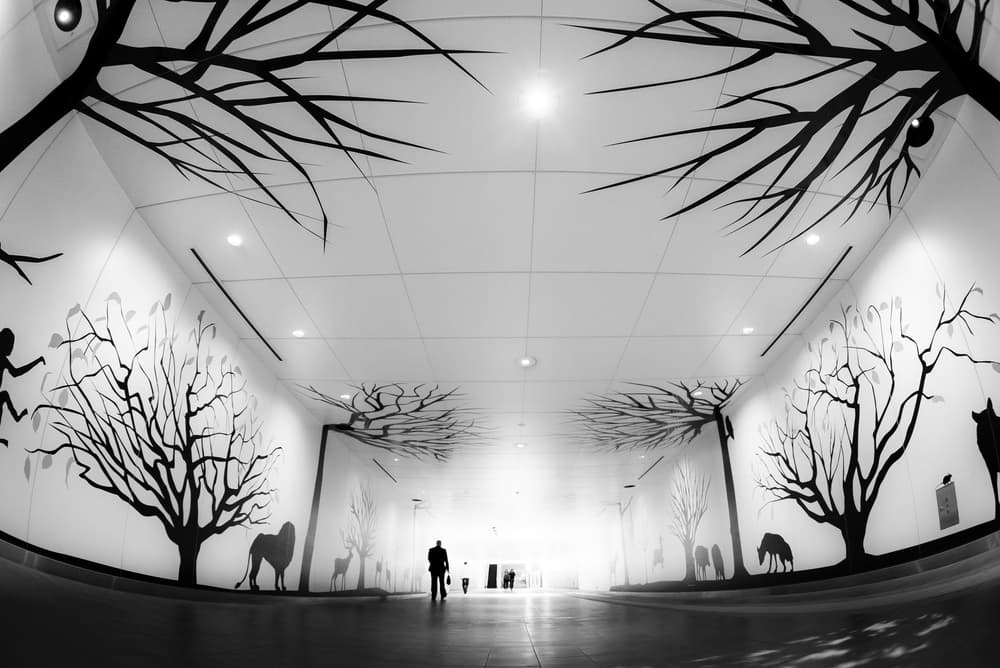 Artistic Tunnel Silhouettes by Tetsuya Hashimoto — canvas wall art