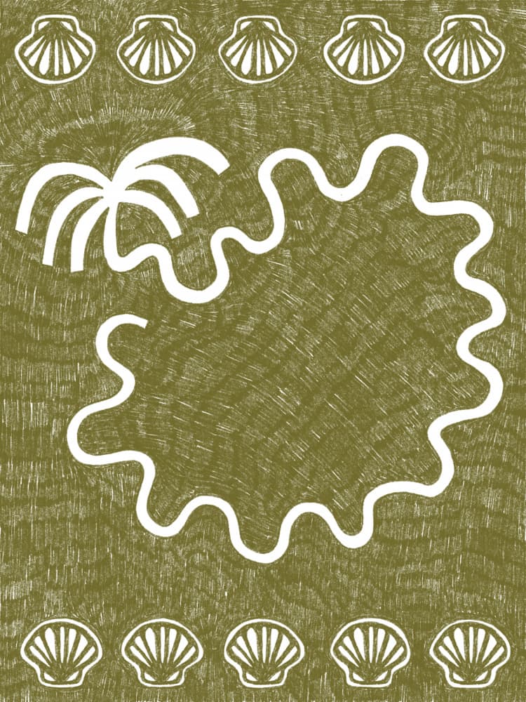 Palm Island Seashells by Shatha Al Dafai — canvas wall art