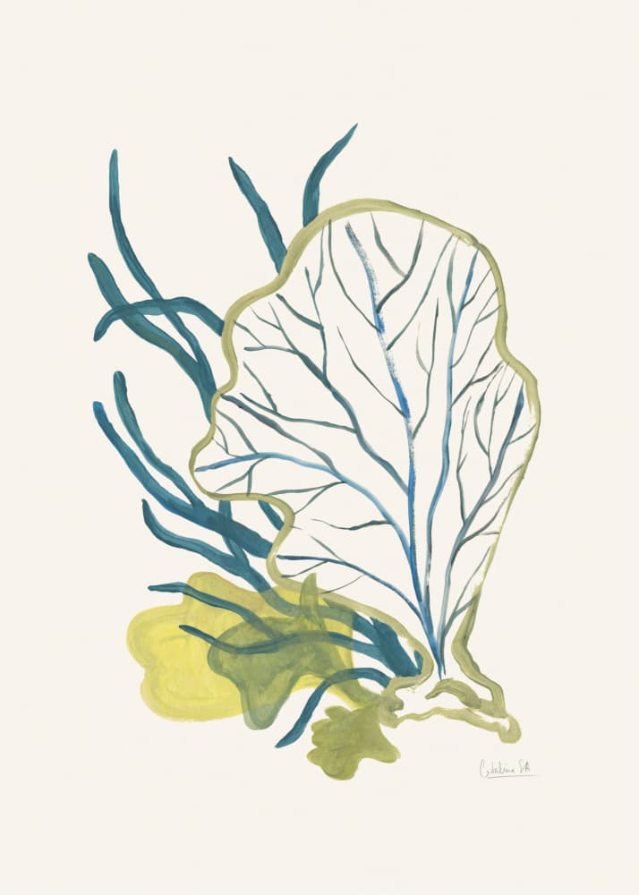 Abstract Marine Botanical