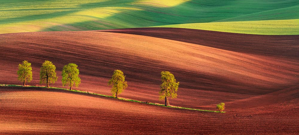Wavy Moravian Fields by Jan Šmíd Master QEP — canvas wall art