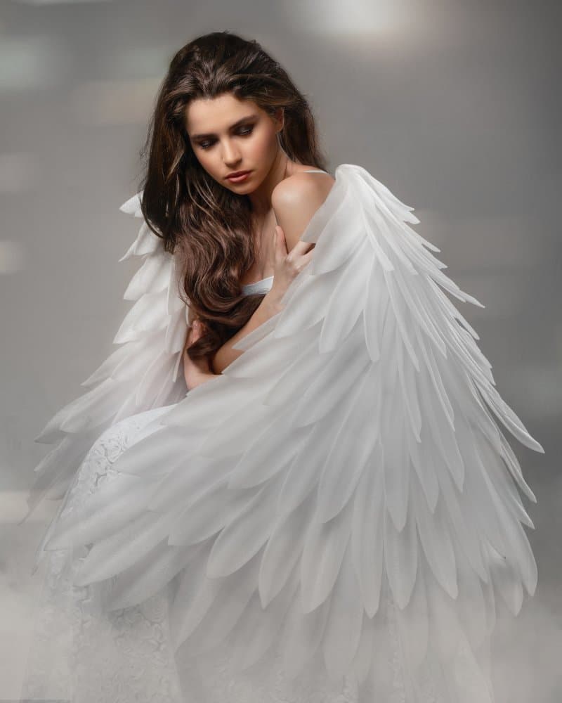 Serene Angel Wings by Michaela Firešová — canvas wall art