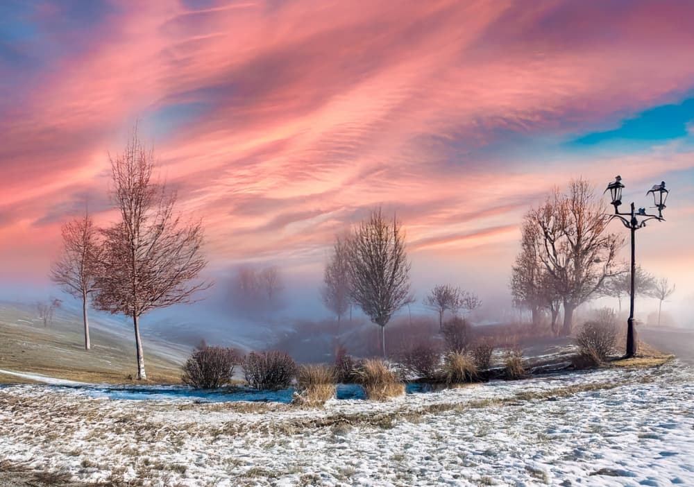 Pink Misty Winter Park by Ed Esposito — canvas wall art