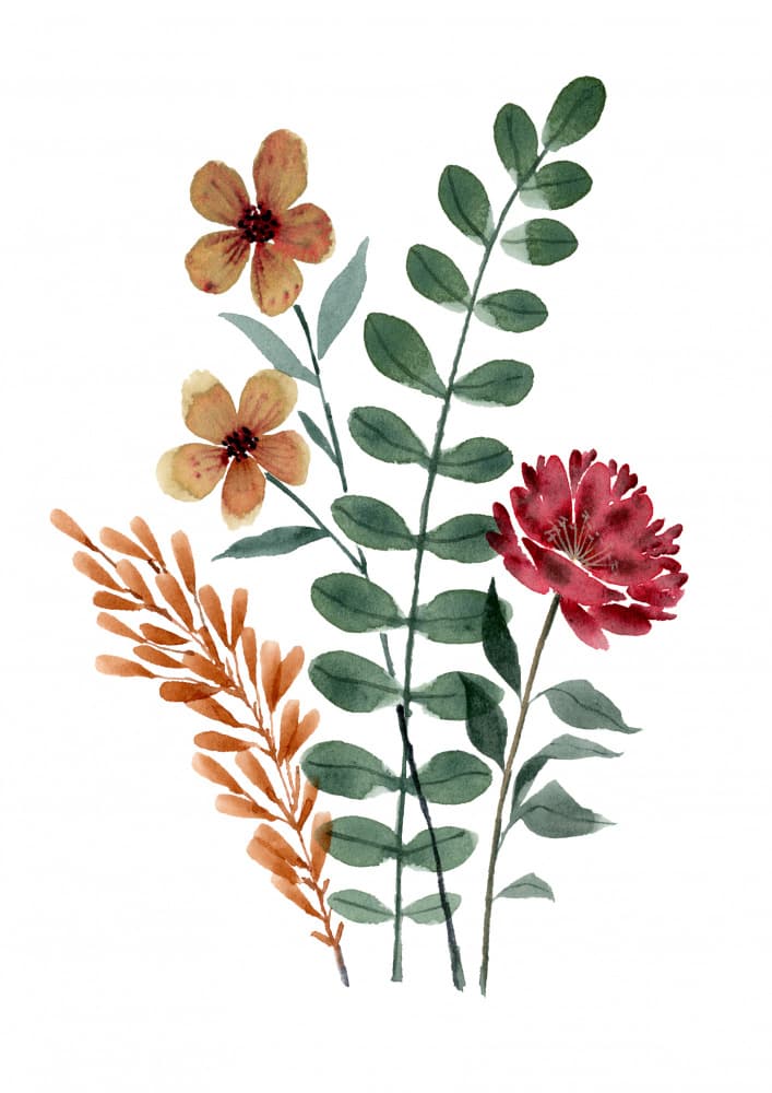 Rustic Watercolor Flowers by Suchi Deb — canvas wall art