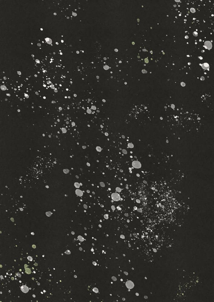 Midnight Speckles by Nicholas — canvas wall art