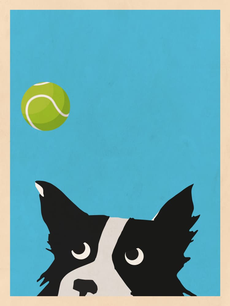 Border Collie Tennis Ball by WallChart Art Studio — canvas wall art