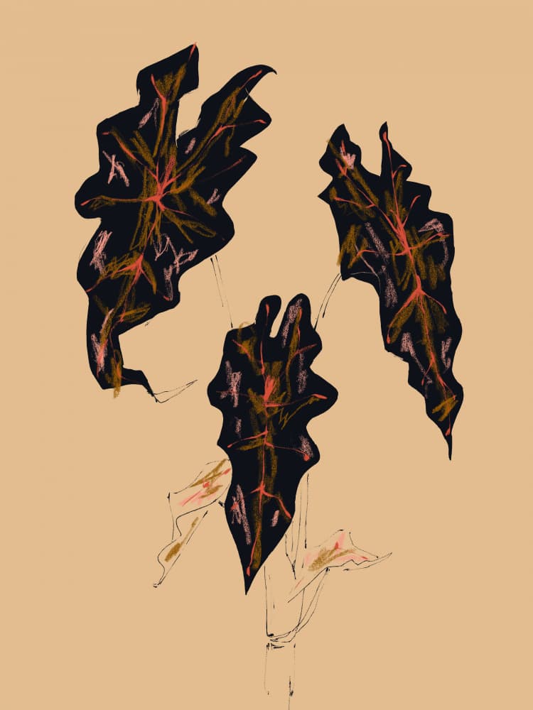 Dark Botanical Leaves by Francesco Gulina — canvas wall art
