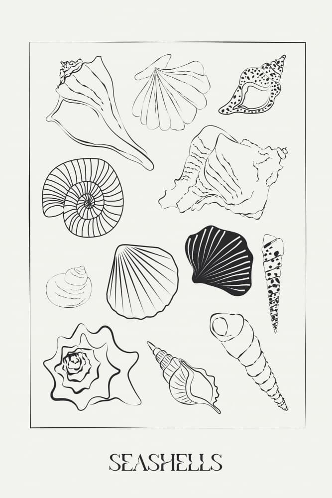 Seashellsno02 by Treechild — canvas wall art