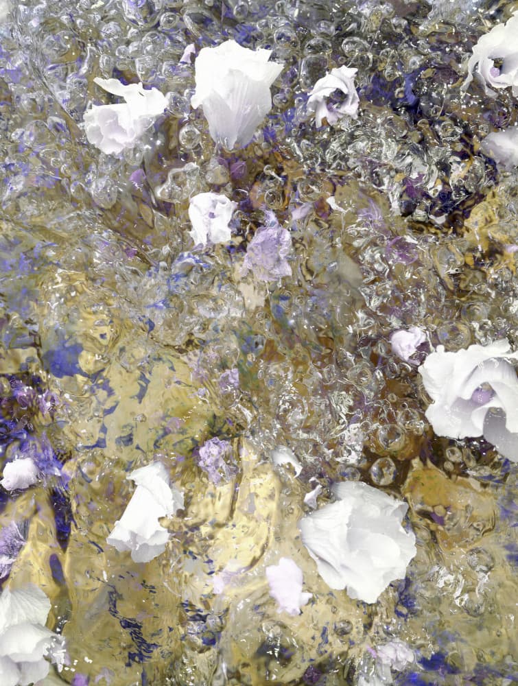 Dreamy Floral Reflections by Angelo Cerantola — canvas wall art