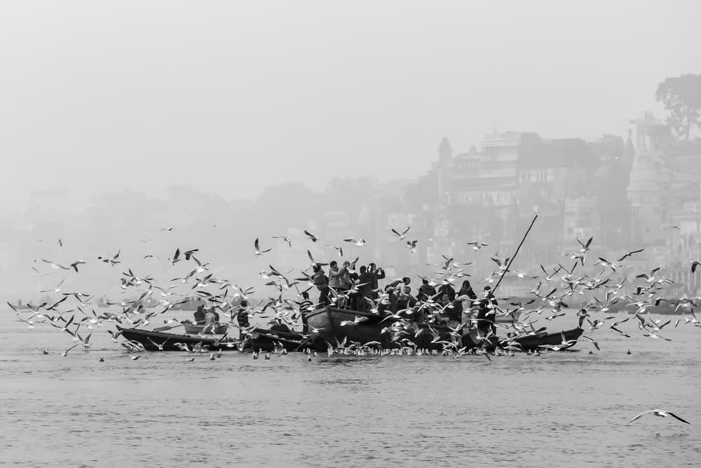 River Birds by Ugur Erkmen — canvas wall art
