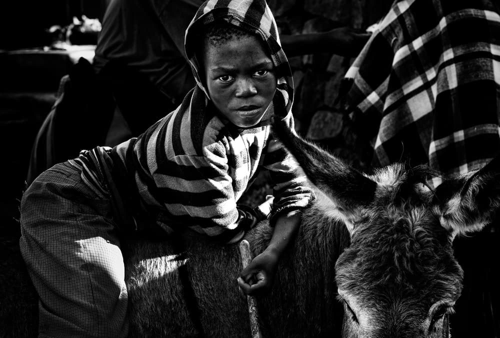 Boy and Donkey Gaze by Joxe Inazio Kuesta Garmendia — canvas wall art