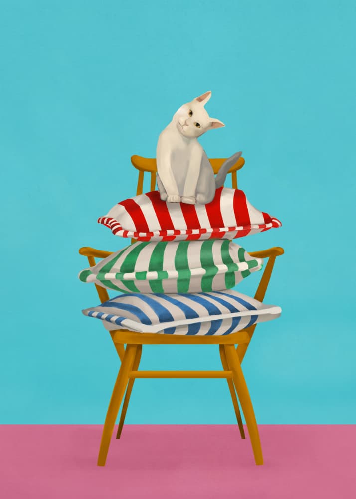Curious Cat On Pillows by Flow Line — canvas wall art
