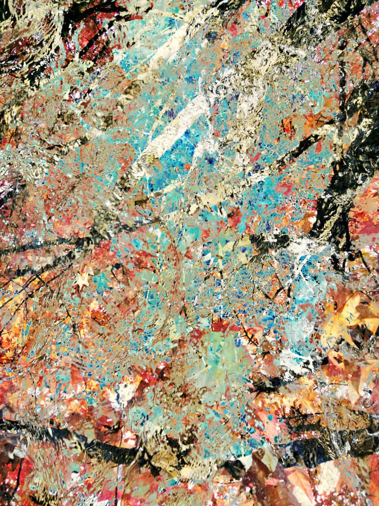 Dynamic Color Explosion