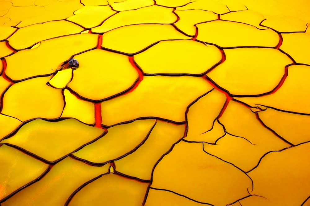 Cracked Yellow Earth by E. de Juan — canvas wall art