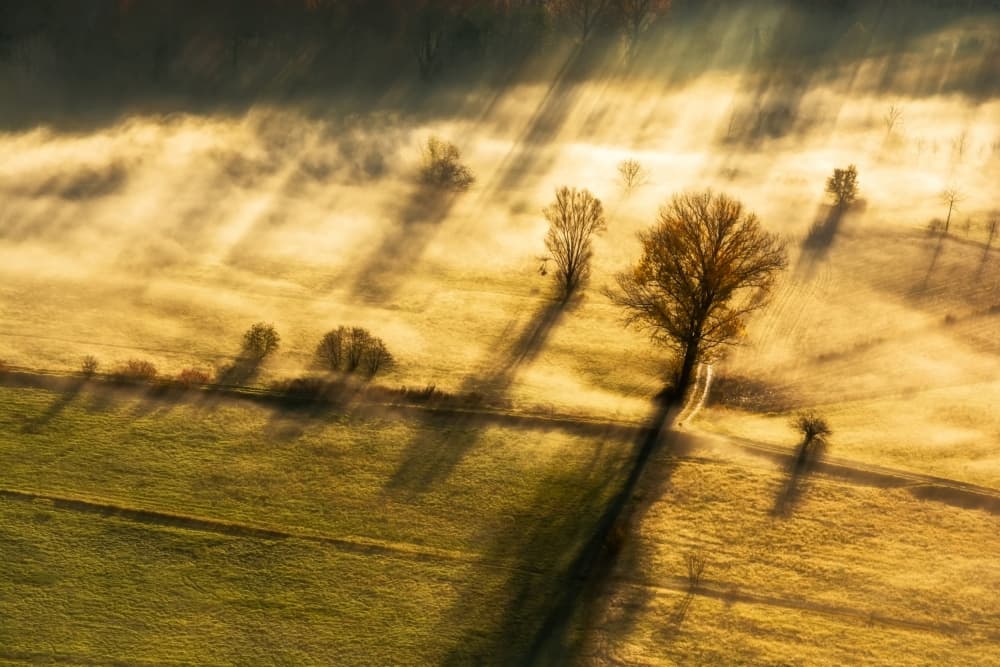 Misty Morning Golden Light by Biffi Pietro — canvas wall art