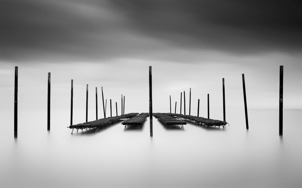 Minimalist Oyster Farm by Christophe Staelens — canvas wall art