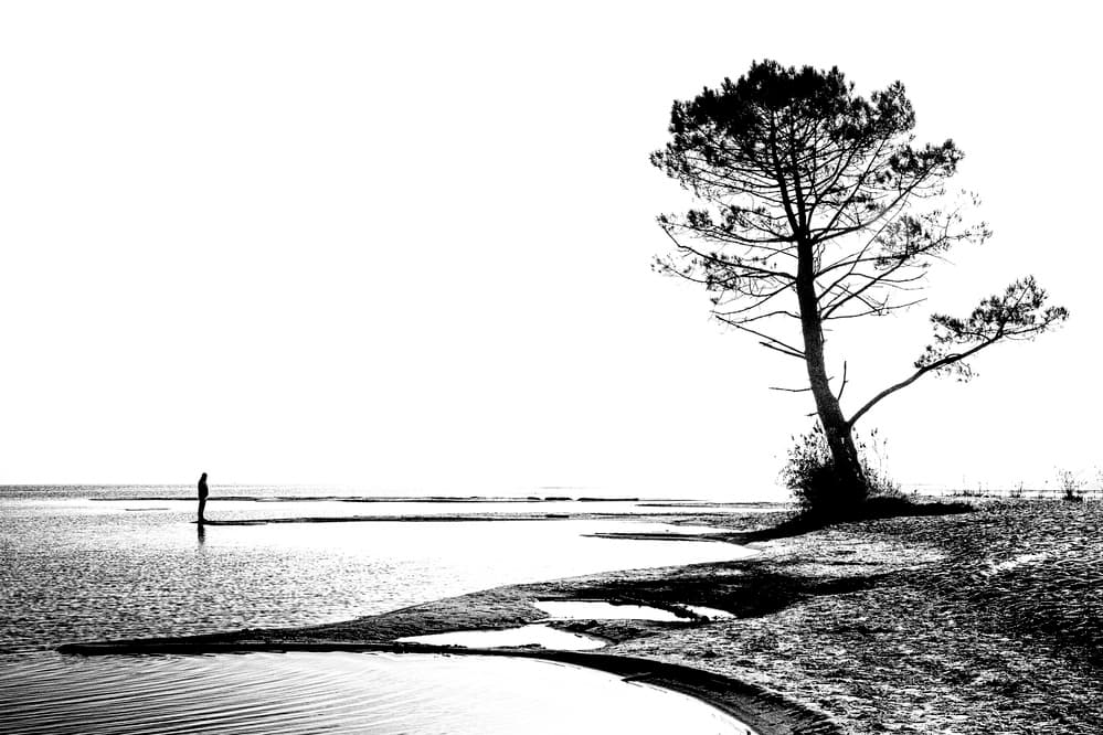 Solitary Figure Lone Tree by GARCIA Dominik — canvas wall art