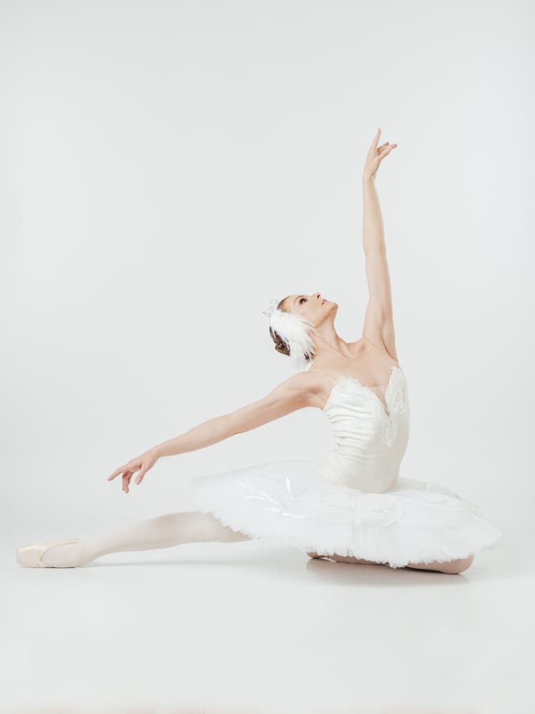 Swan Lake Ballerina by Photographer — canvas wall art