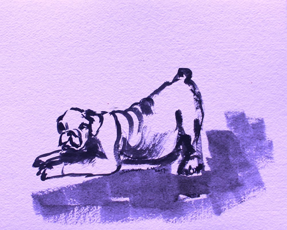 Playful Bulldog Stretch by Santhosh ch — canvas wall art