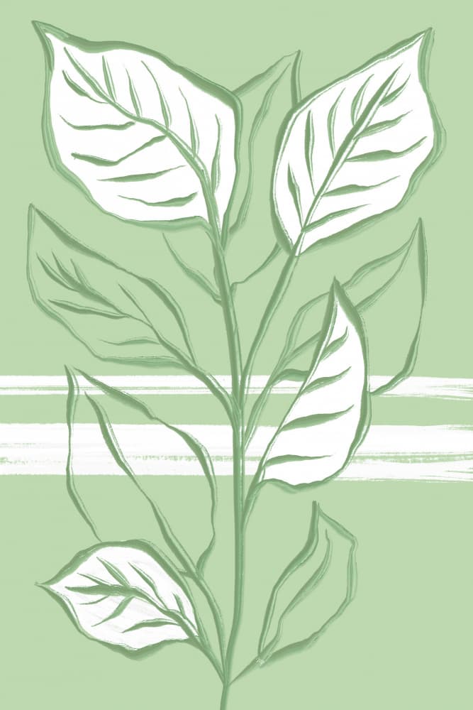 Green Botanical Leaves by Martina — canvas wall art