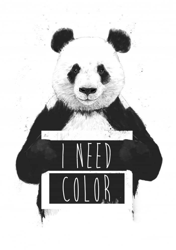 Panda Needs Color by Balazs Solti — canvas wall art