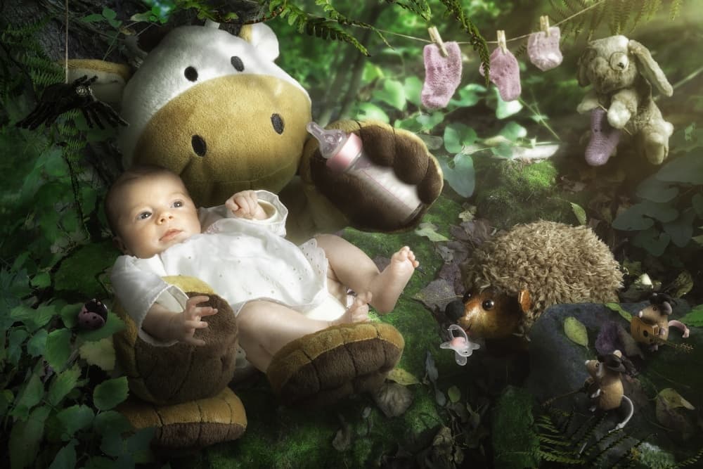 Sweet Woodland Friends by Christophe Kiciak — canvas wall art