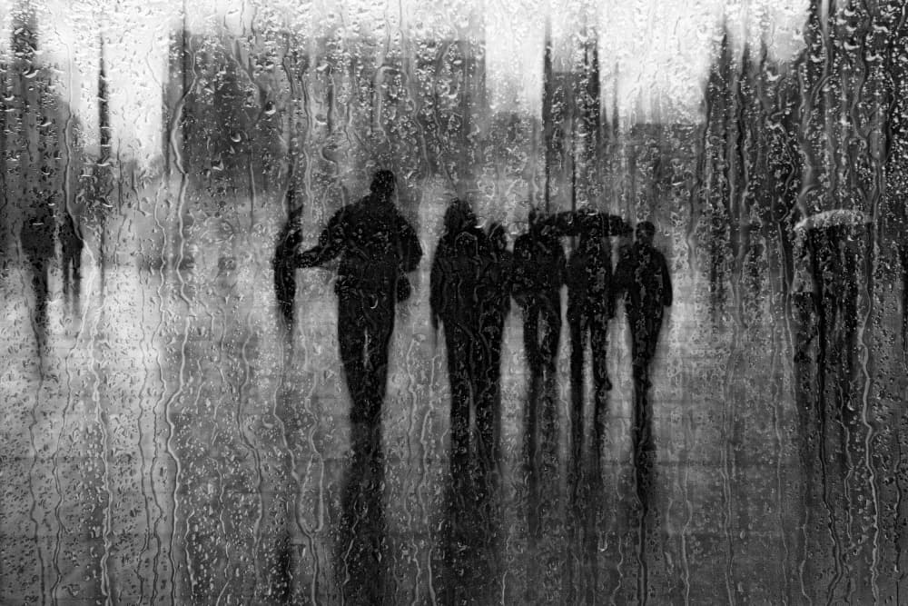 Through A Rainy Window by Roswitha Schleicher-Schwarz — canvas wall art