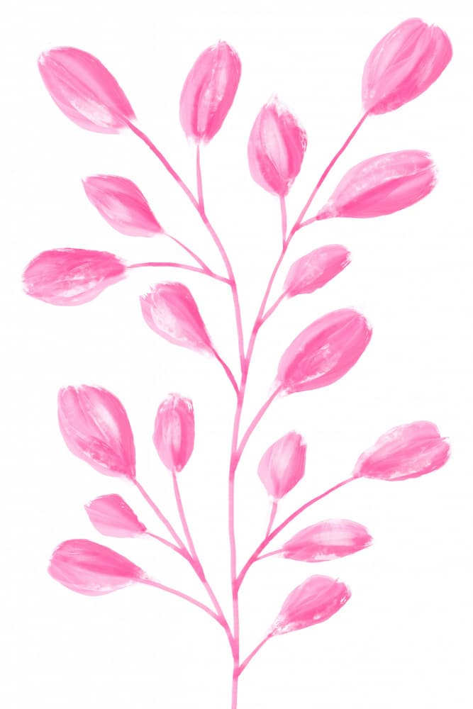 Pink Botanical Branch by Martina — canvas wall art