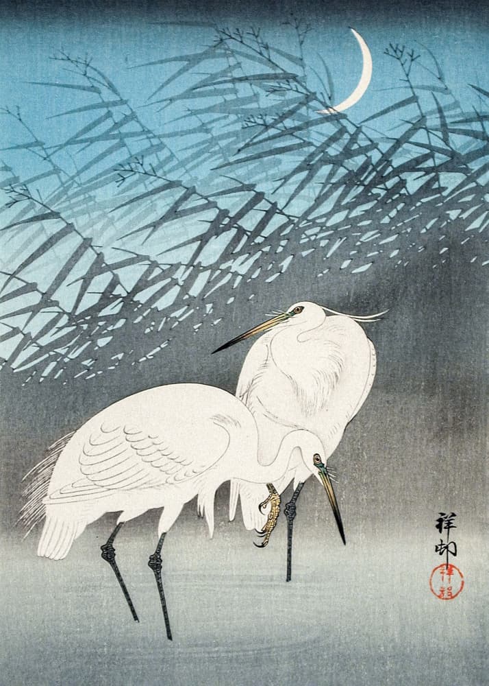 Egrets and Reeds In Moonlight (1926) by Ohara Koson — canvas wall art