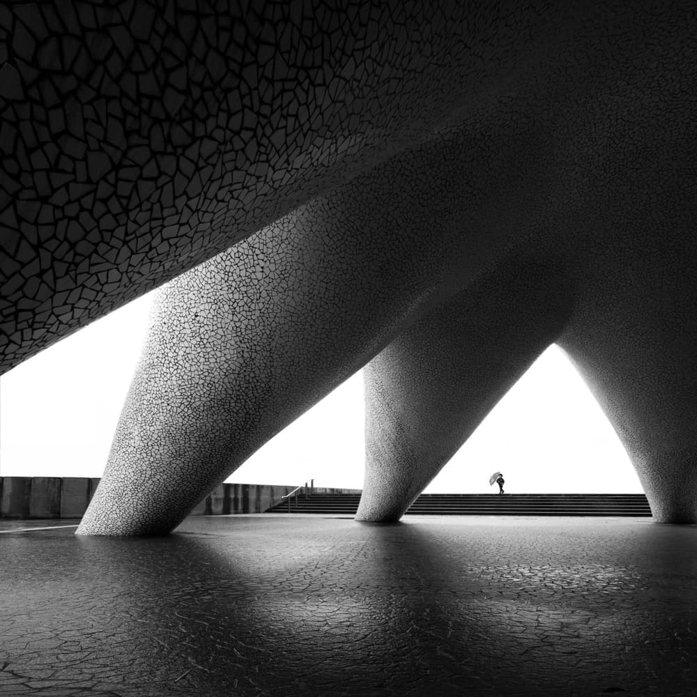 Monochrome Architectural Curves by F4 Passion — canvas wall art