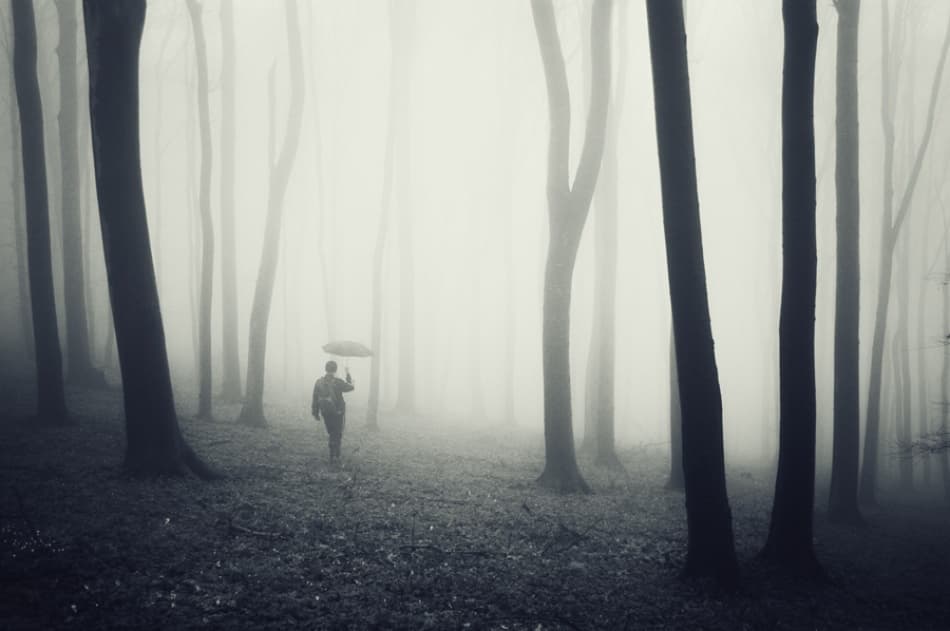 Man Walking Foggy Forest by PhotoCosma — canvas wall art