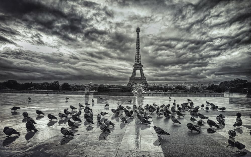 Dramatic Eiffel Tower Pigeons by mihai ian nedelcu — canvas wall art