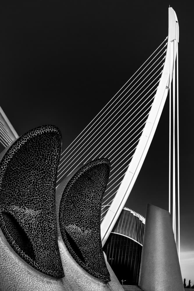Sleek Architectural Lines by Fernando Silveira — canvas wall art