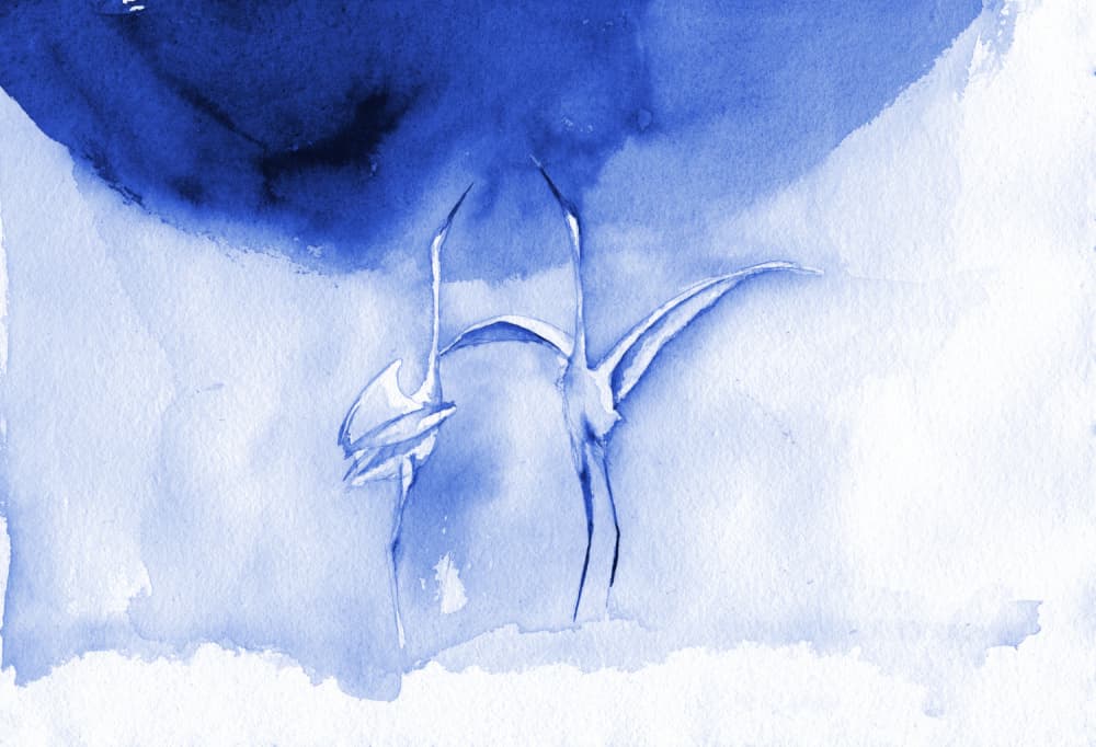 Graceful Blue Birds by RodMacIver — canvas wall art