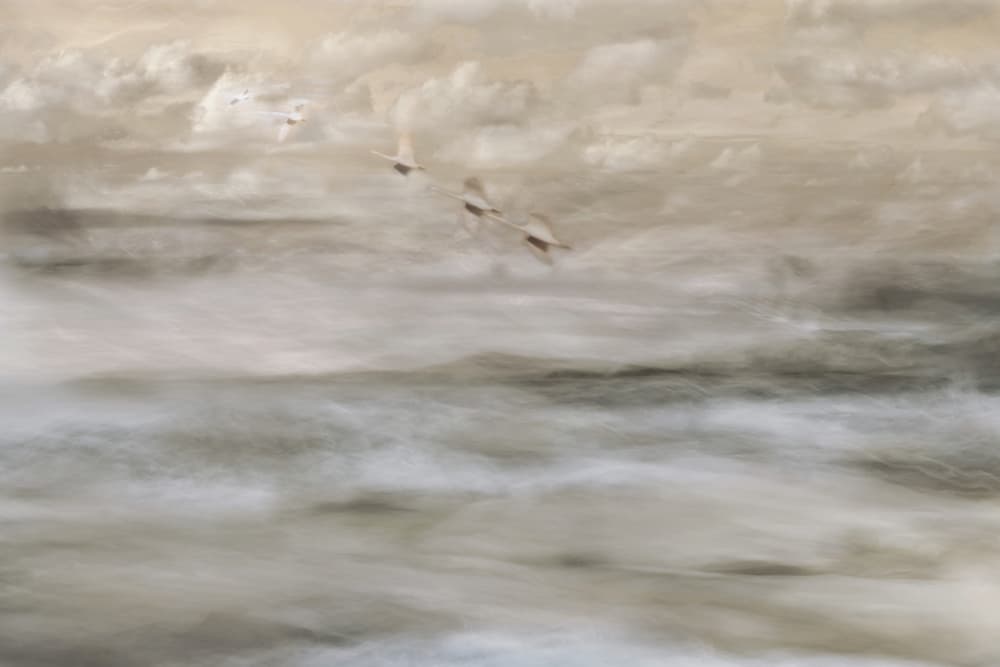 Dreamy Birds Over Water by Christina Sillen — canvas wall art